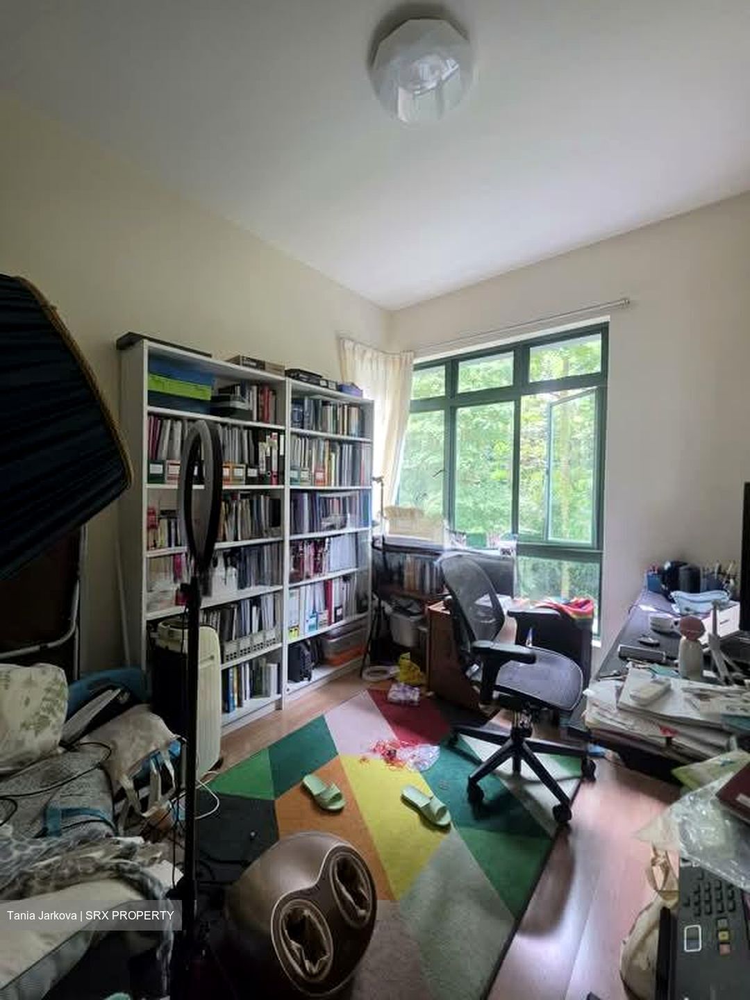 Parc Palais (D21), Condominium #539845871